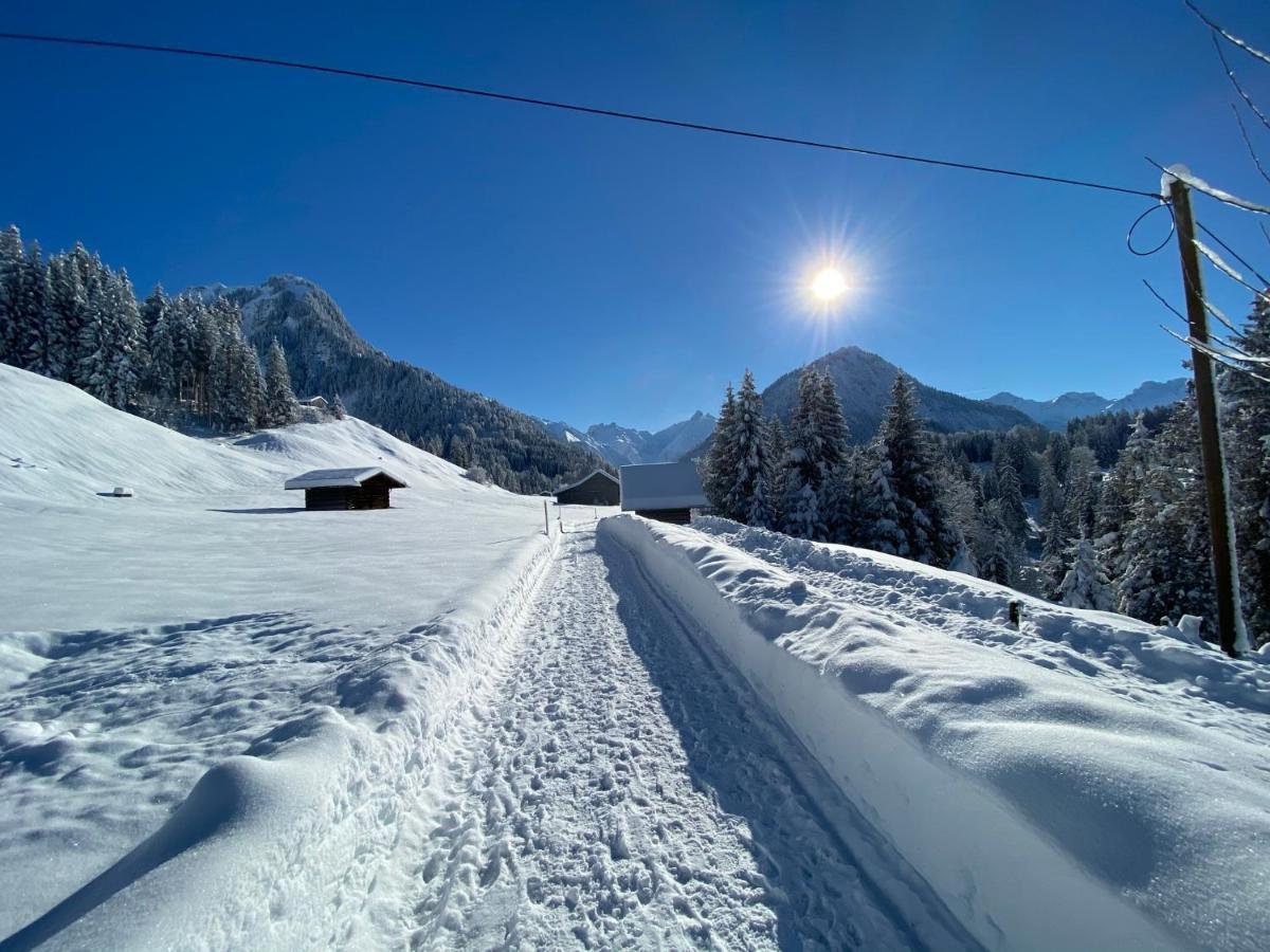 Landhaus Am Plattenbichl - Luxus Apartment Mit Privat-Pool Und Sauna - Im Sommer Bergbahn Inklusive Oberstdorf Ngoại thất bức ảnh